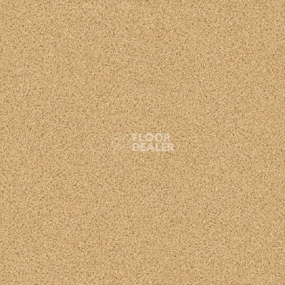 Линолеум IVC Inter SAMSON T41 фото 1 | FLOORDEALER